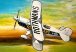 AZ MODEL AZ 4839 - 1:48 Pitts Special S.2A/1