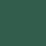 PACTRA A29 - Farba akrylowa FS 34079 Jungle Green