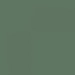 PACTRA A31 - Farba akrylowa FS 34092 Dark Green