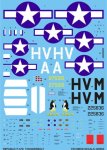 TECHMOD 32005 - 1:32 Republic P-47D Thunderbolt