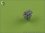 /environment/cache/images/300_300_productGfx_0dcc2c4ec832bee6deaac48ba4108efb.jpg