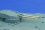 /environment/cache/images/300_300_productGfx_6a2176ab3d34b4c4f79530b1afc38f69.jpg