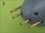 /environment/cache/images/300_300_productGfx_9a19c5bf244a1ab9607dbd3c96b5ae4c.jpg
