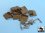 /environment/cache/images/300_300_productGfx_9efcb7e8f10165f75d258ca6b988dc21.jpg