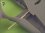 /environment/cache/images/300_300_productGfx_ee59f0f6a9f870feb72518f63680fe27.jpg