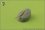 /environment/cache/images/300_300_productGfx_f4ac07f813a41dc7dbdbac476e26a36e.jpg